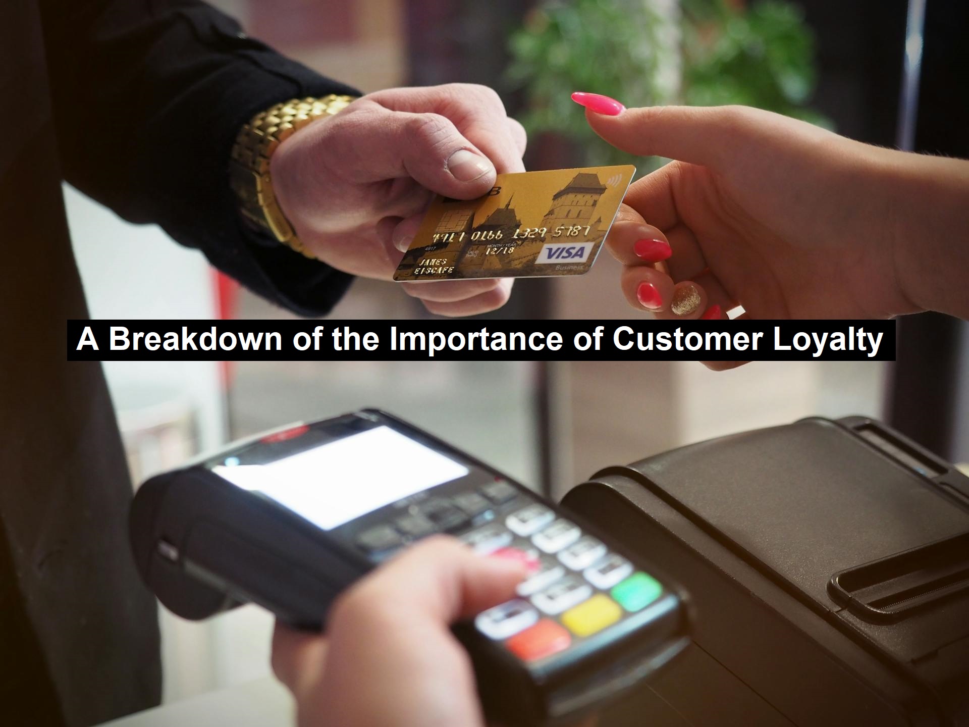 A Breakdown of the Importance of Customer Loyalty