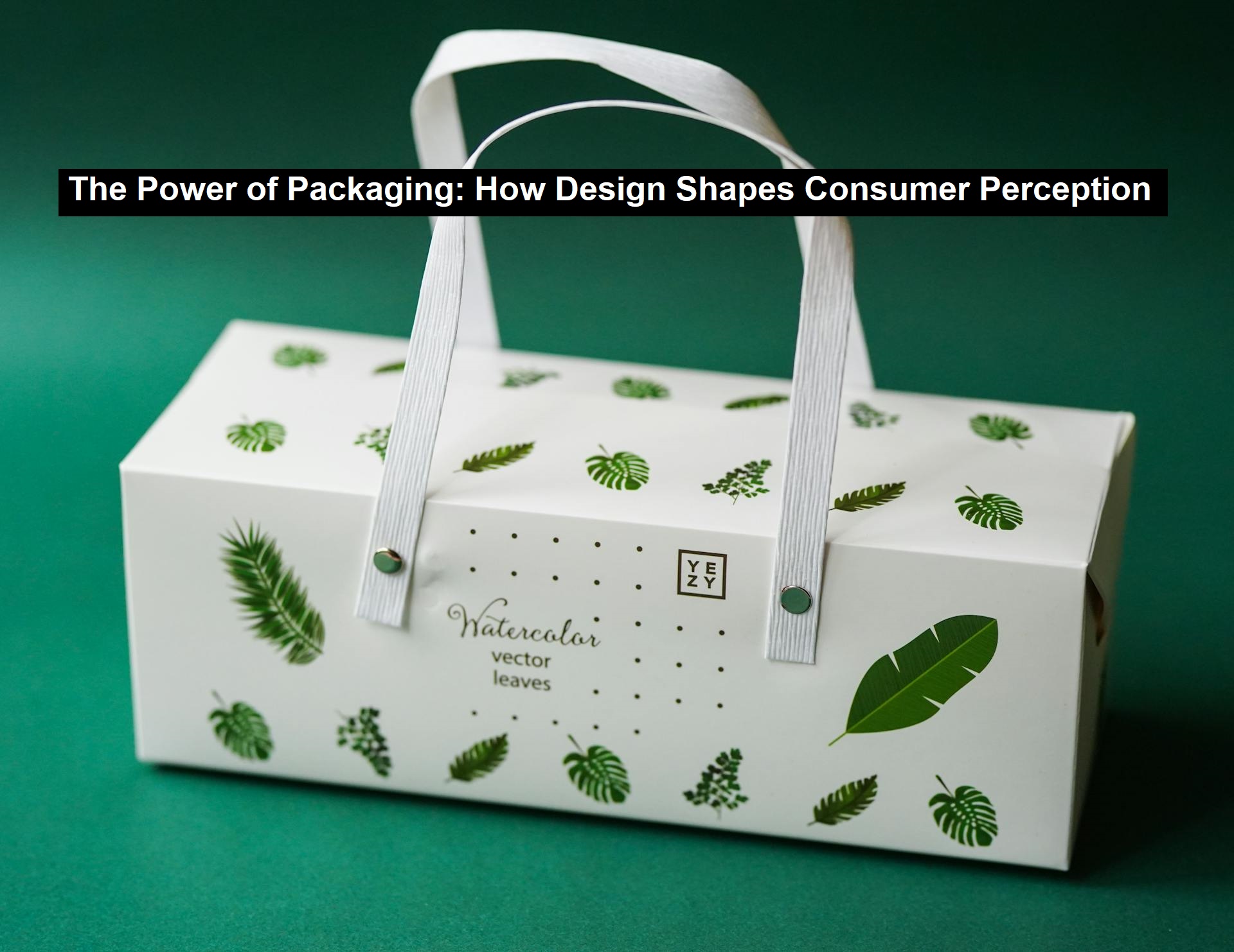 The Power of Packaging: How Design Shapes Consumer Perception